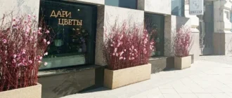 Студия цветов Дари Цветы на Красных Воротах